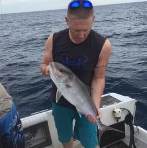 Meet your Posher, Dan